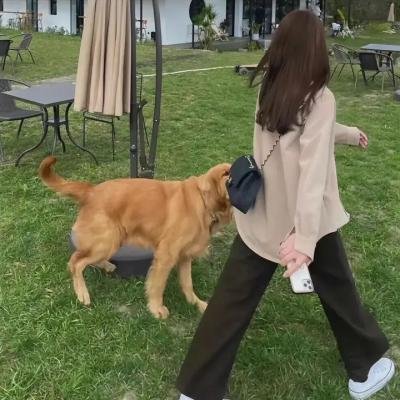 享受吧！罗马